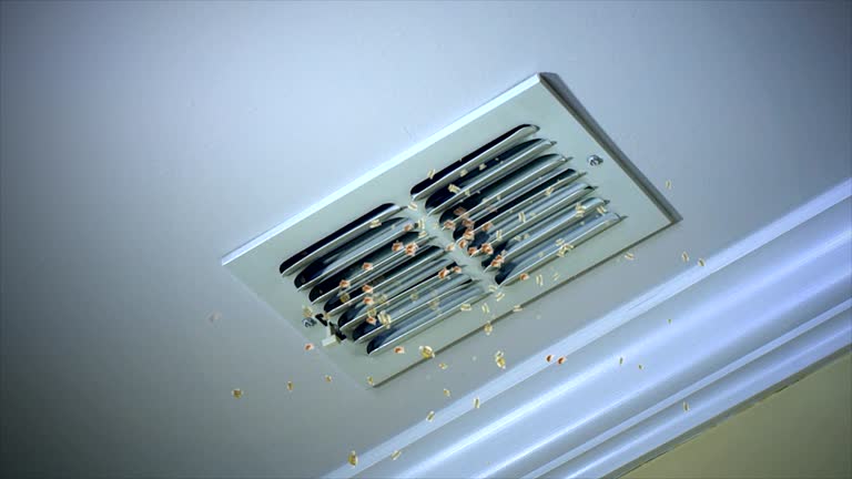 Best Air Duct Cleaning Near Me  in Dixon, KY