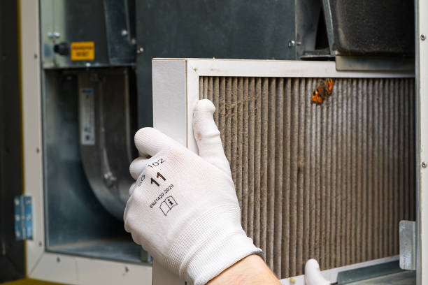 Best Dryer Vent Cleaning Services  in Dixon, KY