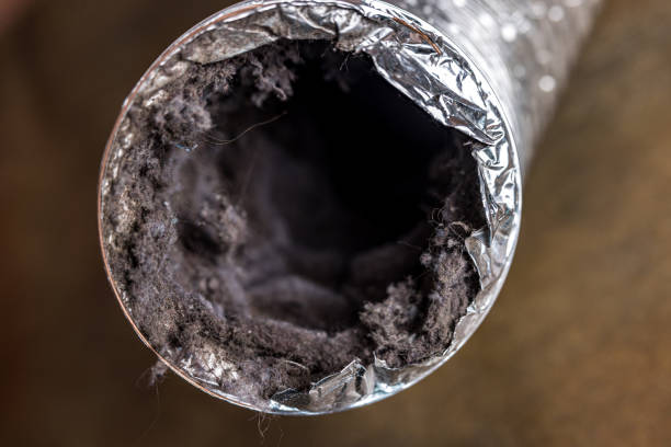 Best Local Air Duct Cleaning Services  in Dixon, KY