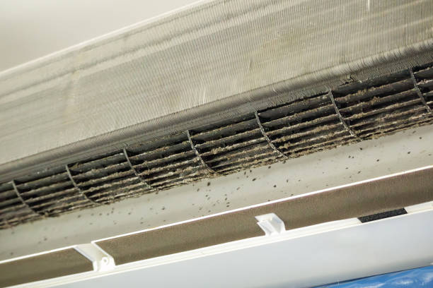 Best Commercial HVAC Duct Cleaning  in Dixon, KY